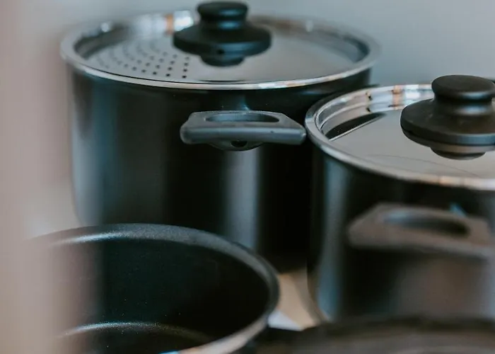 Llr Design - Botanical Im Zentrum Von Daire Koblenz (Rhineland-Palatinate)